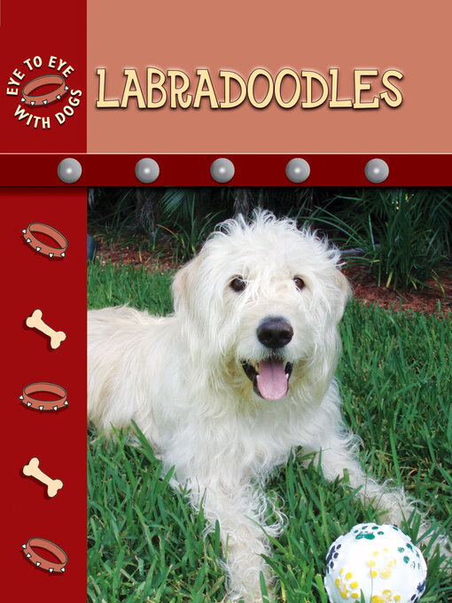 Title details for Labradoodles by Lynn M. Stone - Available